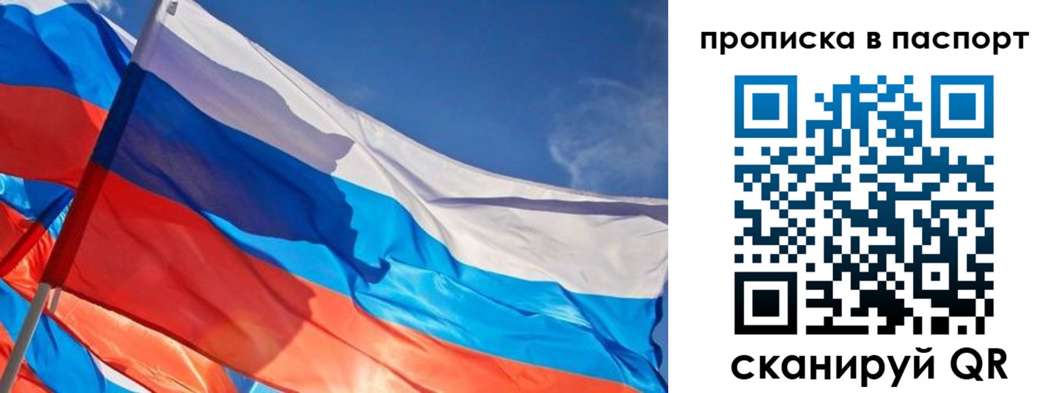 регистрация в Ярославской области